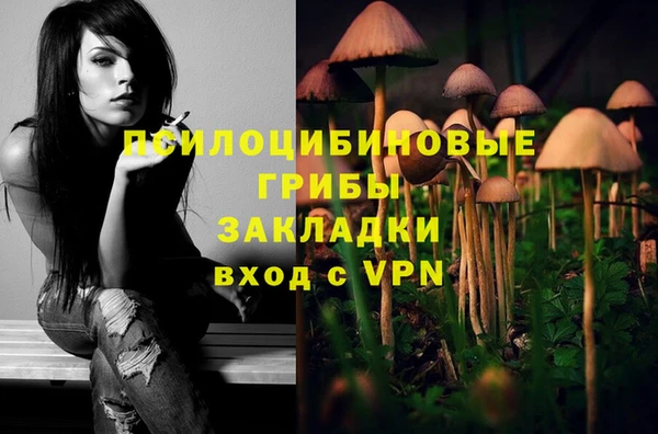 стаф Алексеевка